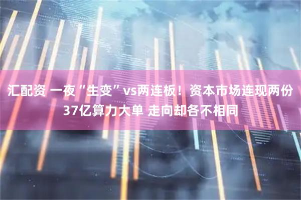 汇配资 一夜“生变”vs两连板！资本市场连现两份37亿算力大单 走向却各不相同