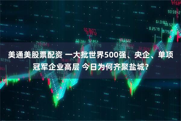 美通美股票配资 一大批世界500强、央企、单项冠军企业高层 今日为何齐聚盐城？