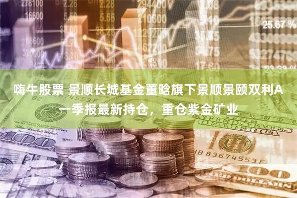 嗨牛股票 景顺长城基金董晗旗下景顺景颐双利A一季报最新持仓，重仓紫金矿业