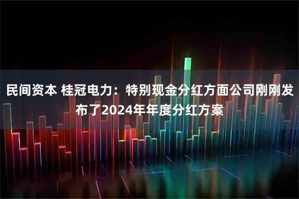 民间资本 桂冠电力：特别现金分红方面公司刚刚发布了2024年年度分红方案
