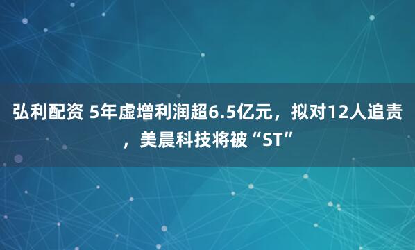 弘利配资 5年虚增利润超6.5亿元，拟对12人追责，美晨科技将被“ST”