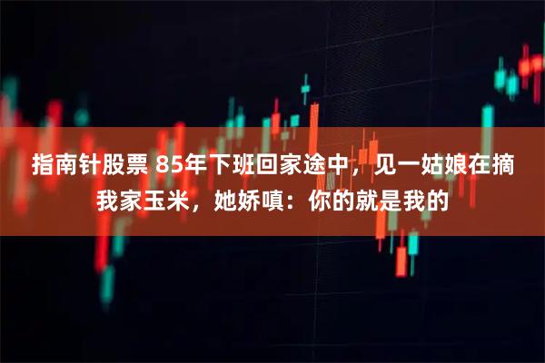 指南针股票 85年下班回家途中，见一姑娘在摘我家玉米，她娇嗔：你的就是我的