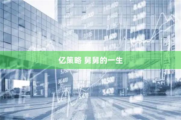亿策略 舅舅的一生