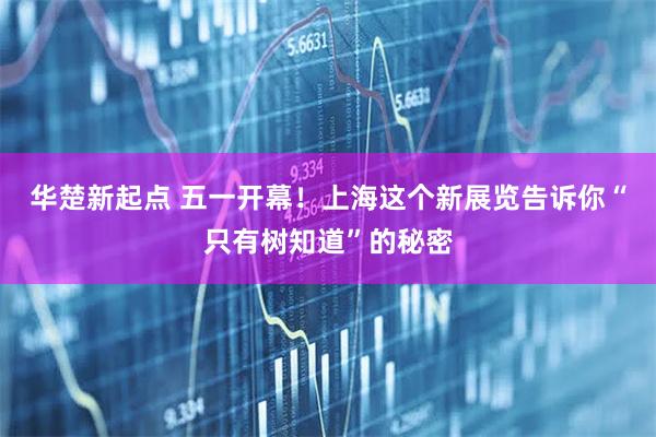华楚新起点 五一开幕！上海这个新展览告诉你“只有树知道”的秘密